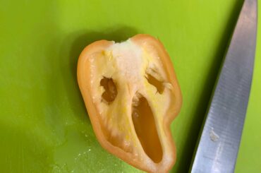 What’s your favorite scary movie?