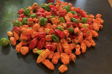 Habanero Haven