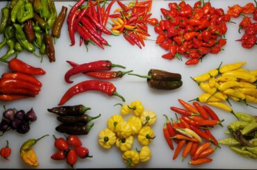 Got so many I don't know what to do with them all, who needs some?