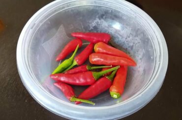 Neighborhood farmer had jalapenos, but my wife asked if he had anything hotter. He got on his tractor and came back with these. Yee ha.