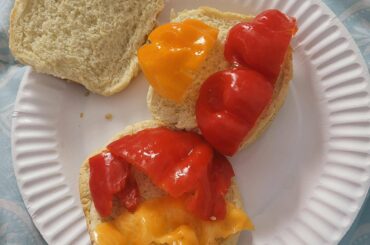 I made a true habanero abomination while drunk last night