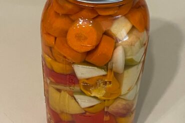 First time fermenting. Carrots, sweet peppers, apples, garlic, and super hots