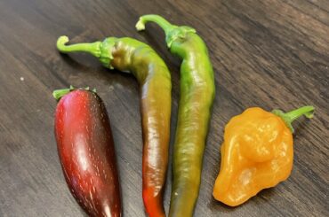 It ain’t much, but it’s honest work