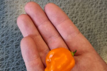 What's the name of this one?