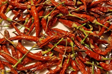 Harvested my Medusas today after they had wilted in the sun. I know they aren't much, but much spicier wilted. Think I'll toast them and make a mild powder.