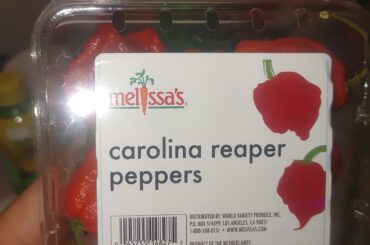 About to do something really stupid.... Wish me luck. Also thanks to u/fartleyFarms for some inspiration.