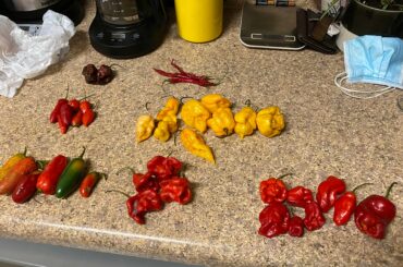 I could use help with some pepper identification