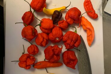 Got all thes from my local Vons of all places. They are sold in packages from a company called Melissa’s super hot assorted peppers.