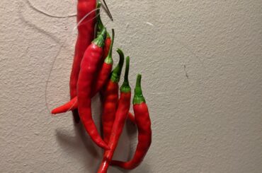 First Cayennes of the year!