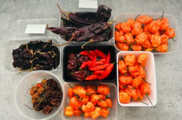 Time to make some chili pastes and hot sauces.