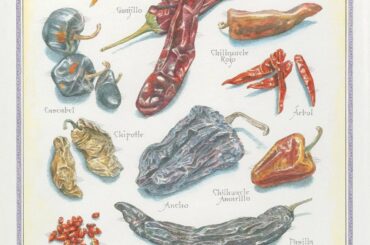 Dried chilies. I wonder if dried peppers are hotter than fresh.