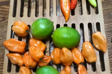 Would love to make a fermented hot sauce. Any tips or recipes would be appreciated. I know I can google one but I thought this group might have some good insight.