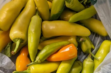 Neighbor gave us these. What should I do/ make w them?