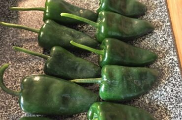 Some poblanos I grew this year, never done any gardening stuff before.