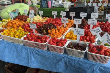 My Favorite Time of the Year (Farmer's Market, Raleigh, NC)