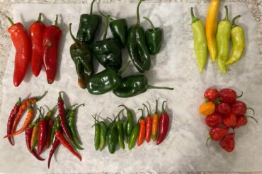 Help identifying peppers. Anyone that has an eye for pepper varieties mind helping me out?