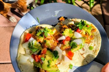 This morning's tater tot chili egg breakfast tacos with avocado habanero salsa and El Yucateco green habanero hot sauce.