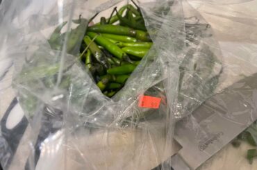 H-Mart had a bag of Thai Chilis 99 cents. I love it.