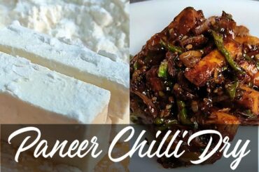 Paneer Chili Dry Recipe | Chinese Starter | Chili Paneer Dry I Indian Street Food