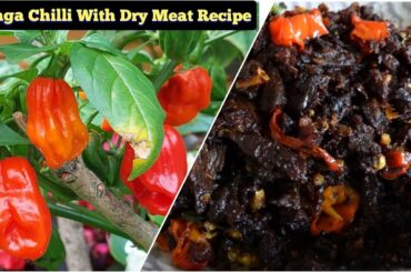 Harvesting & Cooking/ Naga Chilli With Dry Meat Recipe/ Hottest Chilli Harvest/ Uk Gargening 2021
