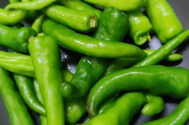 Mensinkai palya|Mirchimasala| Chillicurry|Green chilli|Easy Lunch recipes| Dinner| ROTTI PALYA| Roti