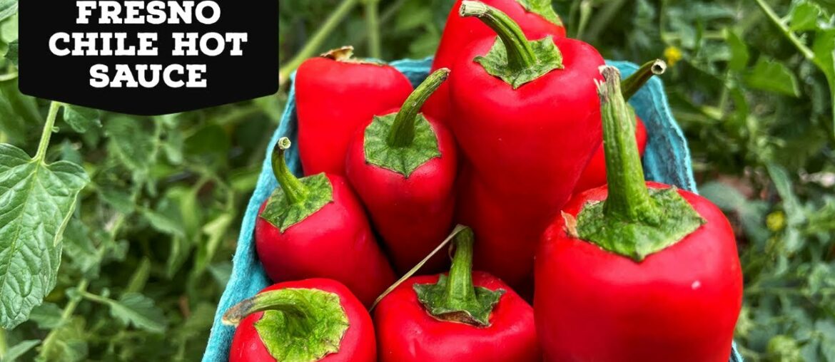 Fresno Chile Hot Sauce Recipe