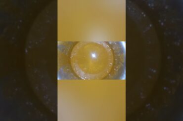 Soya chilli recipe in tamil | Varshu vlog | Evening snack |