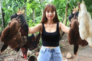 Cooking chicken roasted with vegetable and chili sauce recipe - Chicken roasted recipe