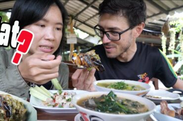 Eating Asian Giant HORNET - The Most Crazy Spicy Chili Dip in Thailand is "Murder Hornet!?"