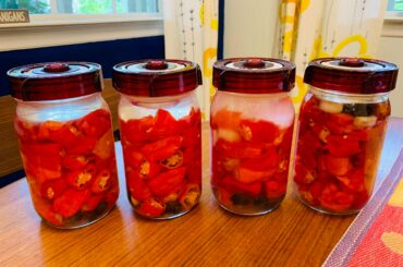 Second batch of “controlled rot” (ferments) from the Ministry of Woe Test Garden. Bhut Jolokia and Carolina Reaper, black cardamom, garlic. #M.W.H.C.