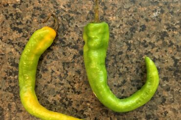 What Kind of Peppers are these? Store called them Poblanos