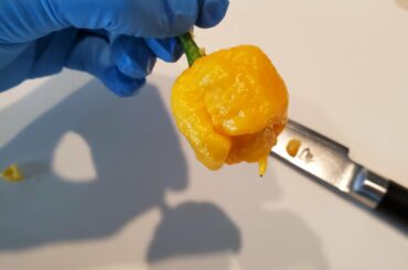 I love how these 7 pots maximize their surface area