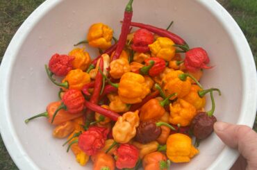 Colors get me every time