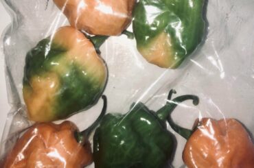 One of my employees brought me these. If I didn’t mention how much I love spicy food, I would think he was out to get me.