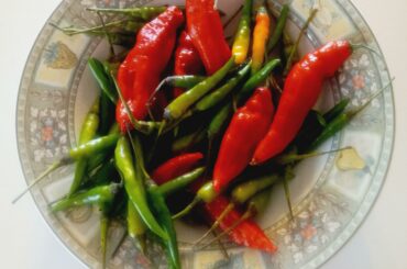 Haven't decided what I'm gonna do with these bad boys, but just bought them at Sprouts (Ghost Chilis and Thai Chilis)