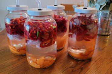 Wife and I's First Ferment