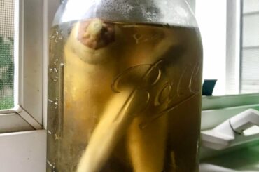 I have an 87 year old customer that brings me pickled peppers every week. It makes my job bearable.