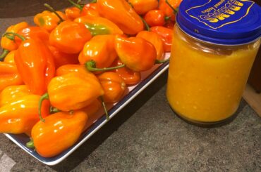 First batch of hot sauce this season. Mango and habanero with fresh ginger, garlic, onion, lime juice, and apple cider vinegar. So tasty and plenty spicy!