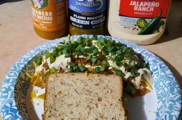 Pulled chicken and chili cheese fries