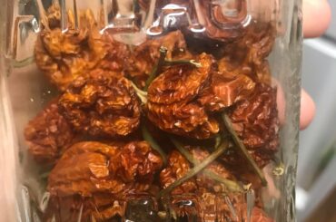 What type of pepper is this?