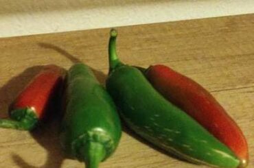 Somebody knows what type of chilli are these ? Thanks