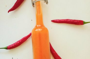 17 days fermented sauce with garlic and ginger