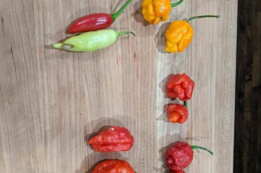 My mother-in-law just got these from her work, any idea what's what?