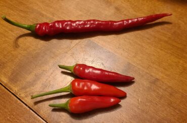 I was given a bunch of these little peppers and I'm not sure what they are. Cayenne on for scale.