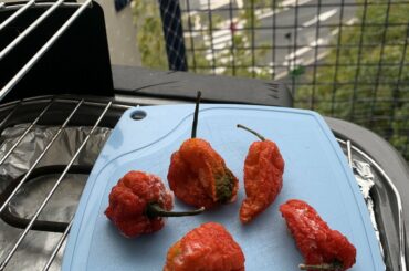 Found them in my local market, does anyone knows the variety?