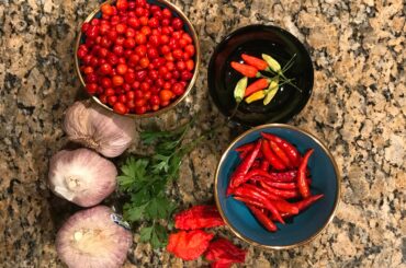 Home grown pequins, mystery peppers (maybe tobascos), bird chilis, ghosts, cilantro, and (minor cringe) store bought garlic. Any ideas for a nice salsa or relish would be appreciated.