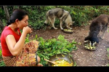 Survival cooking in forest-Cooking frog spicy chili delicious food for dog-Catch frog for food