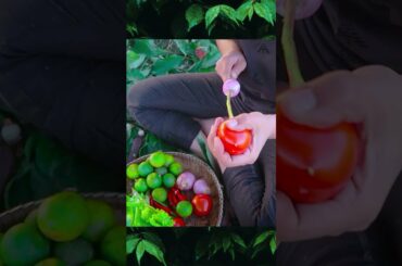 YouTube #shorts | Amazing Cooking Fish Recipes With Chili Sauce Recipe And Vegetable Salad, Tomato