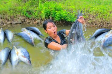Catch Catfish in water for food - Roast fish with spicy chili / Tasty Cooking
