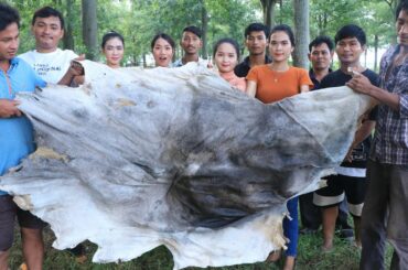 Amazing cooking skin cow soup with chili sauce recipe - Skin cow curry recipe